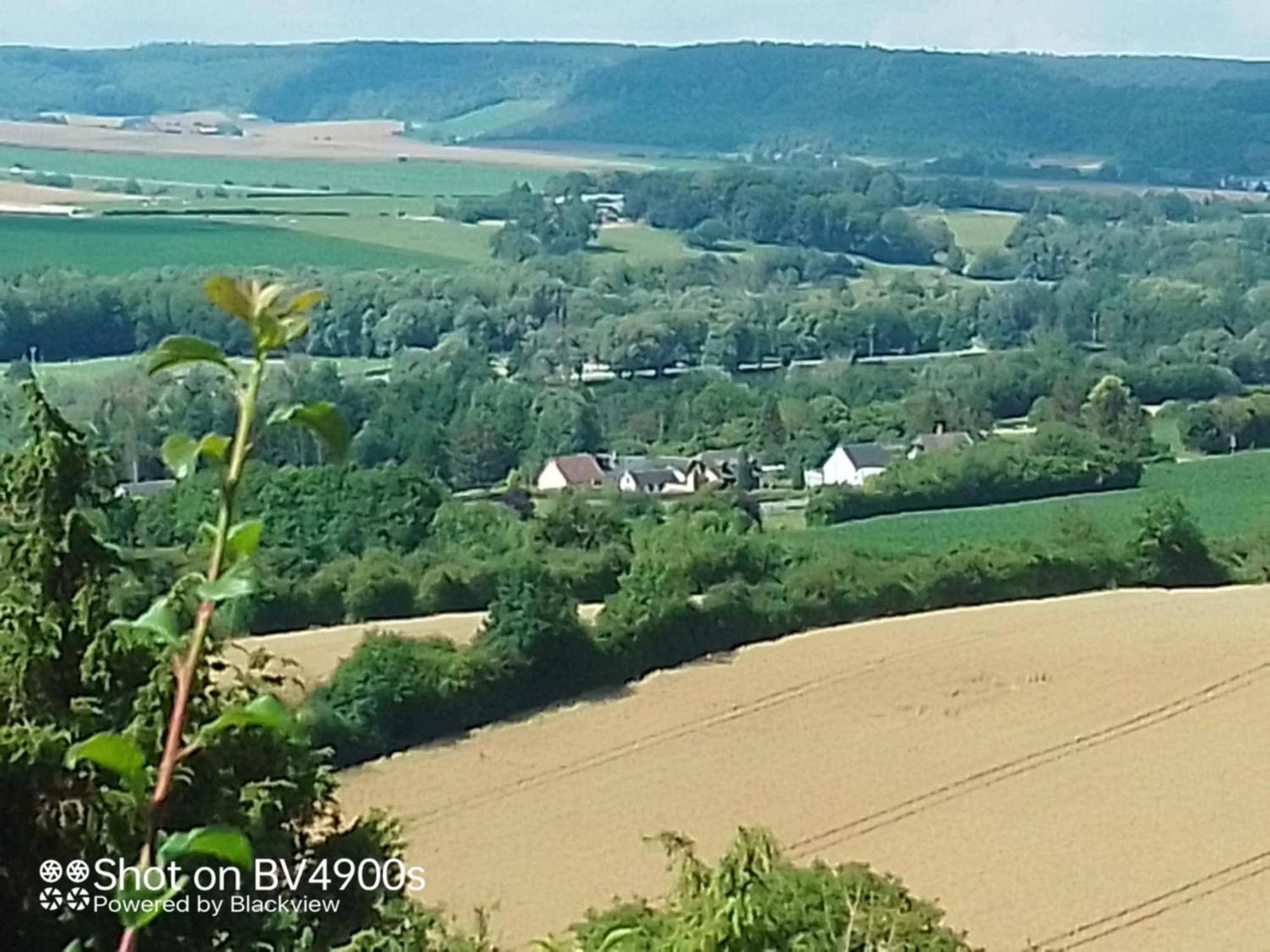 Bed and Breakfast Le Moulin Des Roses Neslette Exterior foto