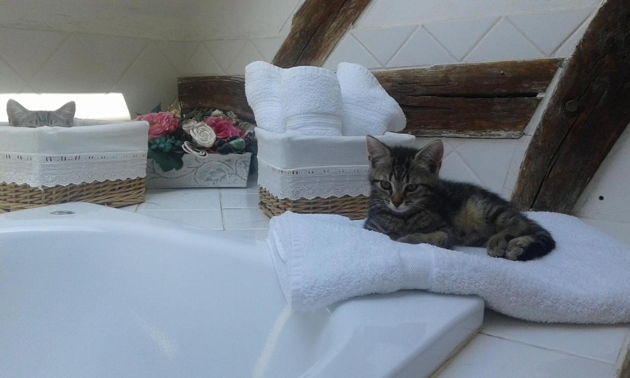 Bed and Breakfast Le Moulin Des Roses Neslette Exterior foto