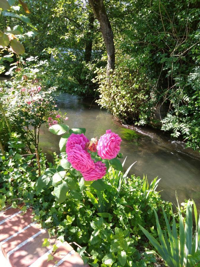 Bed and Breakfast Le Moulin Des Roses Neslette Exterior foto